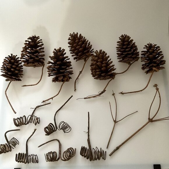DIY PINE CONES AND CURLY TWIGS 15 COUNT - Picture 1 of 8